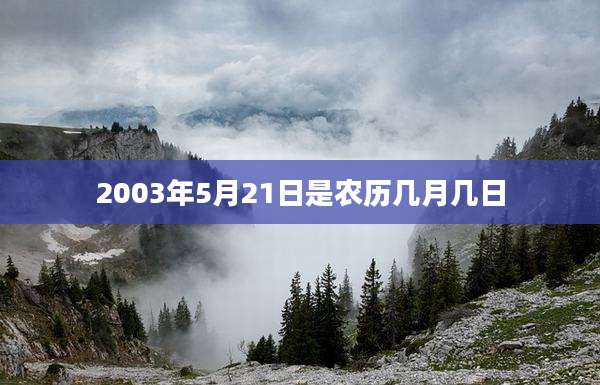 2003年5月21日是农历几月几日