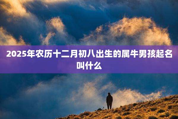 2025年农历十二月初八出生的属牛男孩起名叫什么