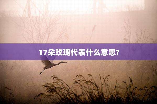 17朵玫瑰代表什么意思?