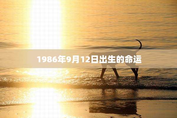 1986年9月12日出生的命运