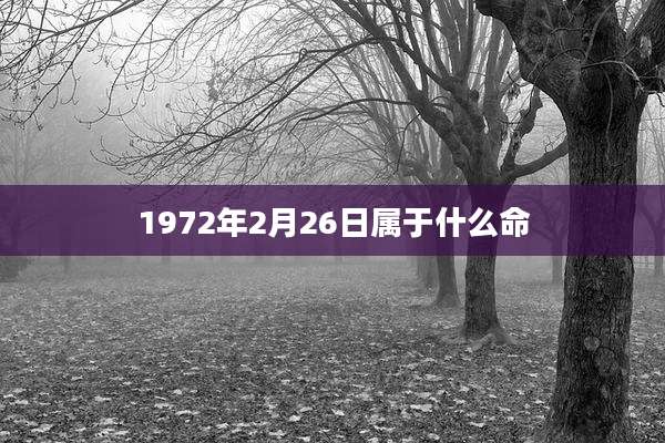 1972年2月26日属于什么命