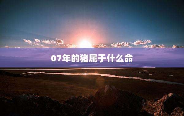 07年的猪属于什么命