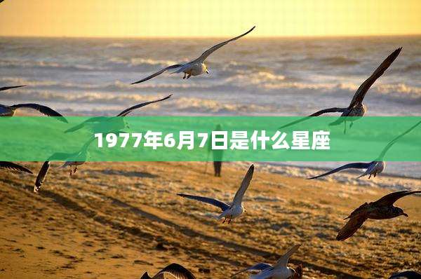 1977年6月7日是什么星座