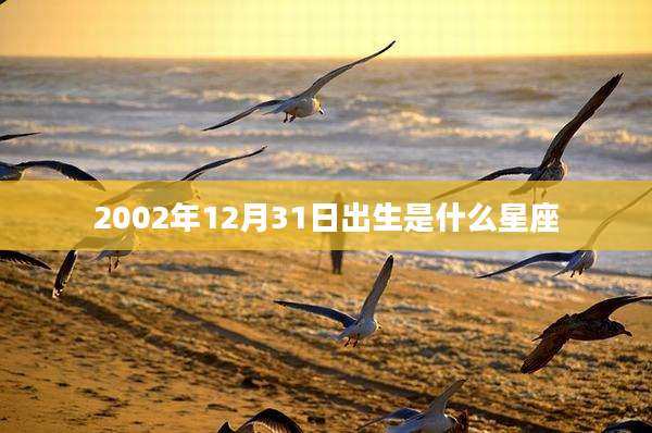 2002年12月31日出生是什么星座