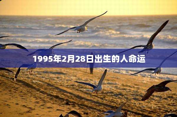 1995年2月28日出生的人命运