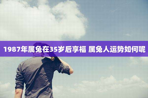 1987年属兔在35岁后享福 属兔人运势如何呢