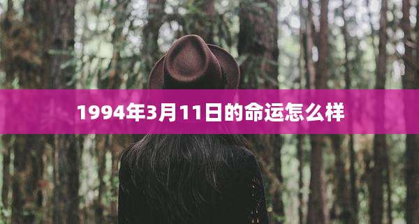 1994年3月11日的命运怎么样