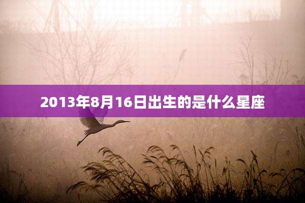 2013年8月16日出生的是什么星座