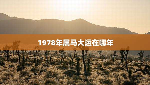 1978年属马大运在哪年