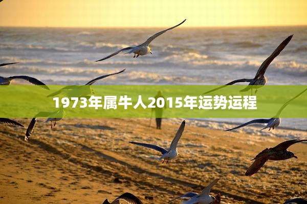 1973年属牛人2015年运势运程