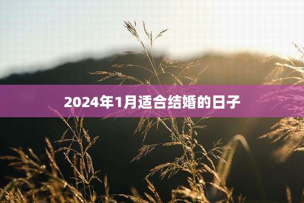 2024年1月适合结婚的日子