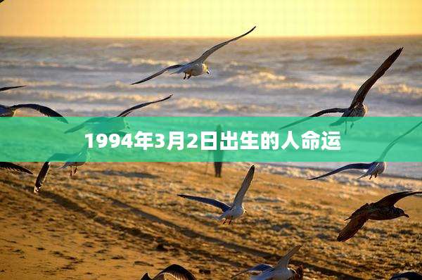 1994年3月2日出生的人命运