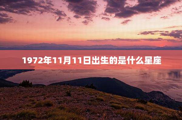 1972年11月11日出生的是什么星座