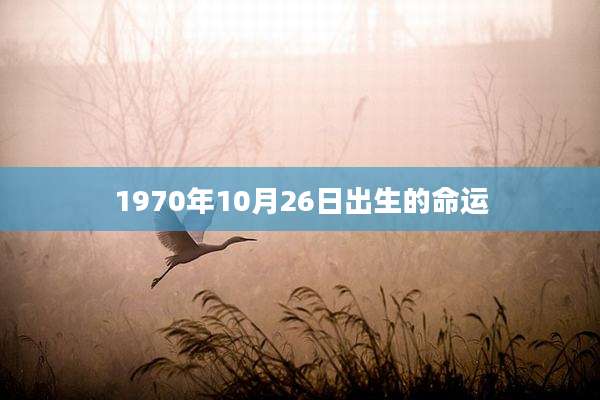 1970年10月26日出生的命运