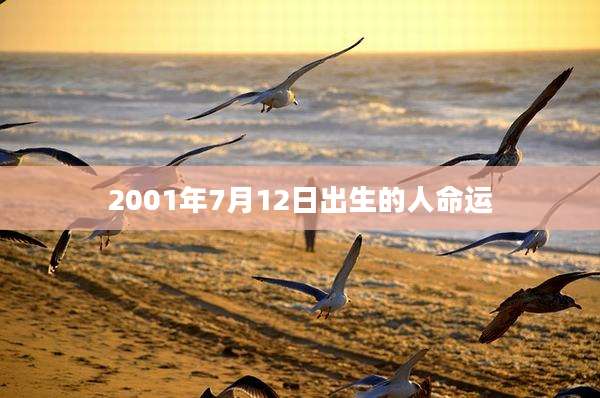 2001年7月12日出生的人命运