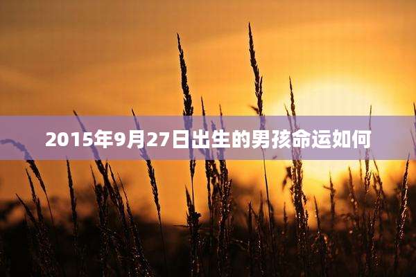 2015年9月27日出生的男孩命运如何