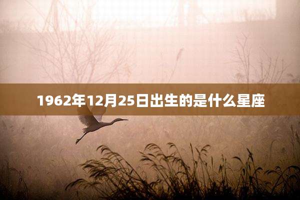 1962年12月25日出生的是什么星座