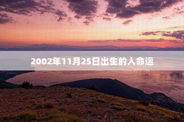 2002年11月25日出生的人命运
