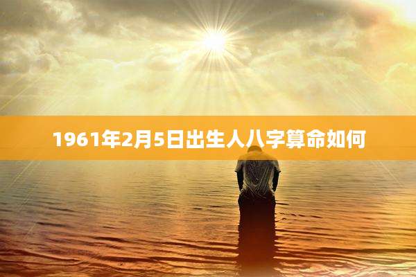 1961年2月5日出生人八字算命如何