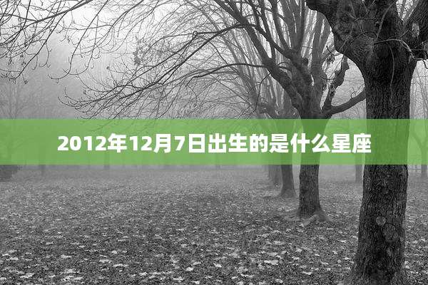 2012年12月7日出生的是什么星座