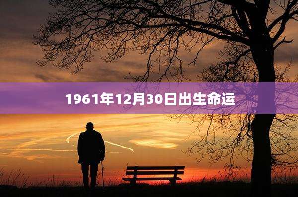 1961年12月30日出生命运