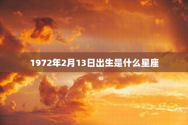 1972年2月13日出生是什么星座