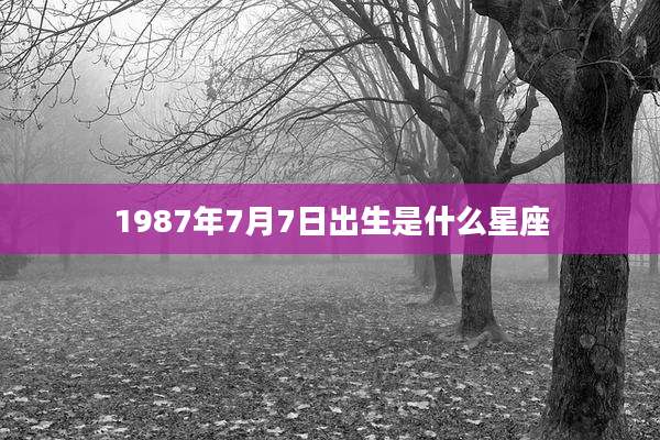 1987年7月7日出生是什么星座