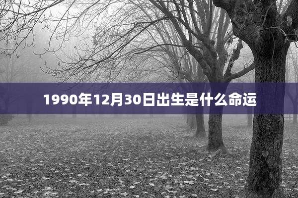 1990年12月30日出生是什么命运