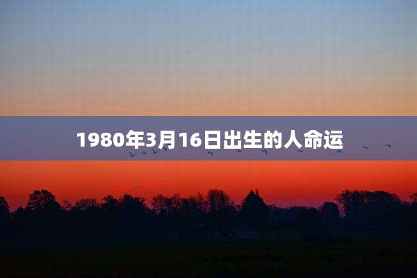 1980年3月16日出生的人命运
