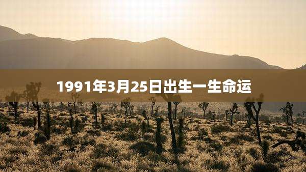 1991年3月25日出生一生命运