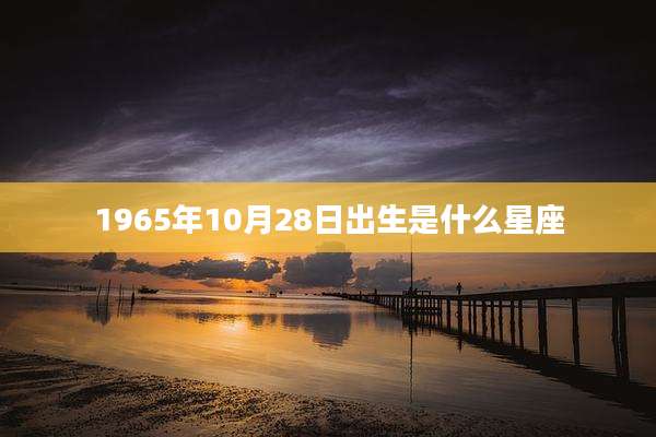 1965年10月28日出生是什么星座