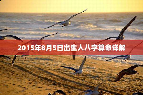 2015年8月5日出生人八字算命详解