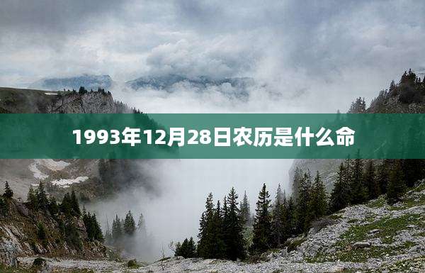 1993年12月28日农历是什么命