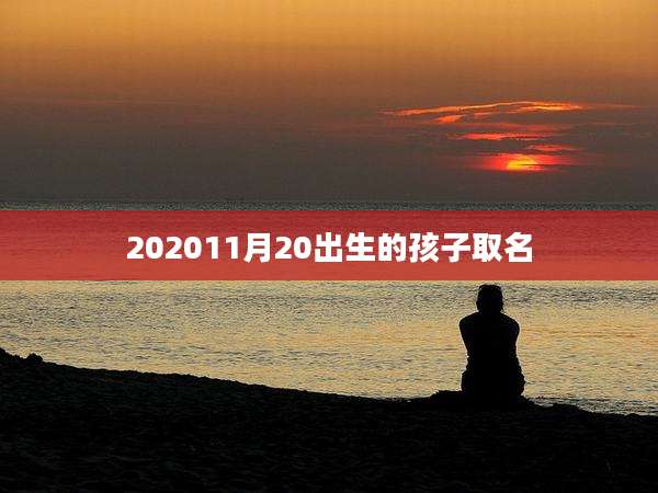 202011月20出生的孩子取名