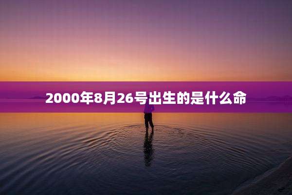 2000年8月26号出生的是什么命