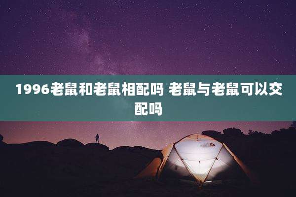 1996老鼠和老鼠相配吗 老鼠与老鼠可以交配吗