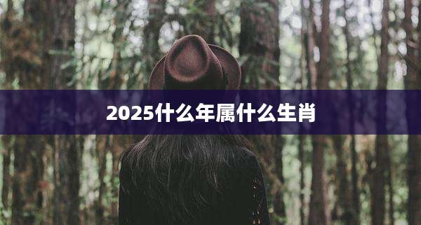 2025什么年属什么生肖