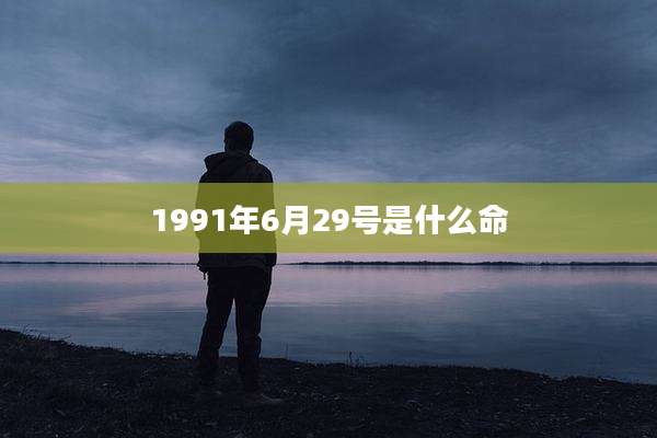 1991年6月29号是什么命