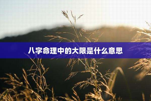 八字命理中的大限是什么意思