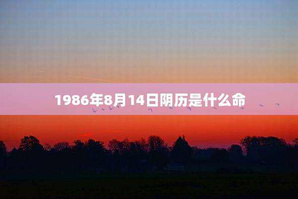 1986年8月14日阴历是什么命