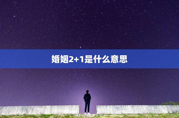 婚姻2+1是什么意思