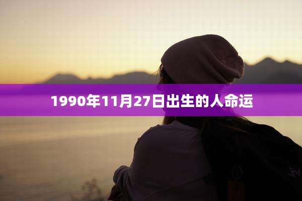 1990年11月27日出生的人命运
