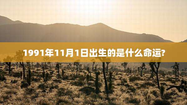 1991年11月1日出生的是什么命运?