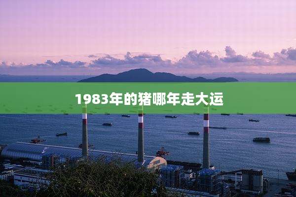 1983年的猪哪年走大运