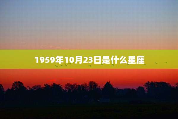 1959年10月23日是什么星座