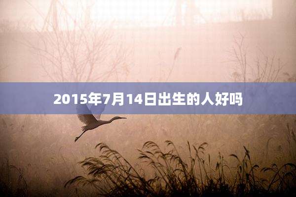 2015年7月14日出生的人好吗