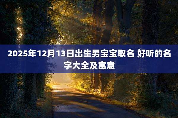 2025年12月13日出生男宝宝取名 好听的名字大全及寓意