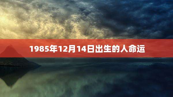 1985年12月14日出生的人命运