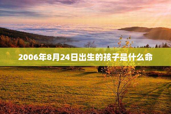 2006年8月24日出生的孩子是什么命
