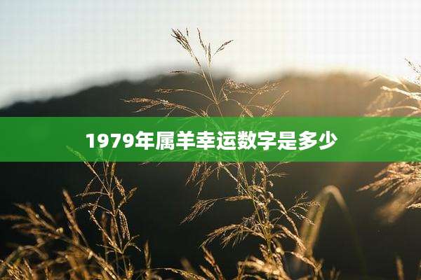 1979年属羊幸运数字是多少